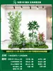 Paisagismo de Planta Artificial Varanda Arranjo de Paisagem Escada Interna Sob Árvore de Flores Artificiais Decoração Biomórfica Planta Verde Paisagismo Combinação