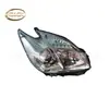Prius ZVW30 2010-2012 faro D 81130-47231 I 81170-47231