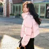Chamarra corta de algodón para mujer Kendou, chaqueta acolchada engrosada, color sólido de otoño e invierno, cuello alto, estilo coreano casual versátil a prueba de frío, chaqueta de algodón