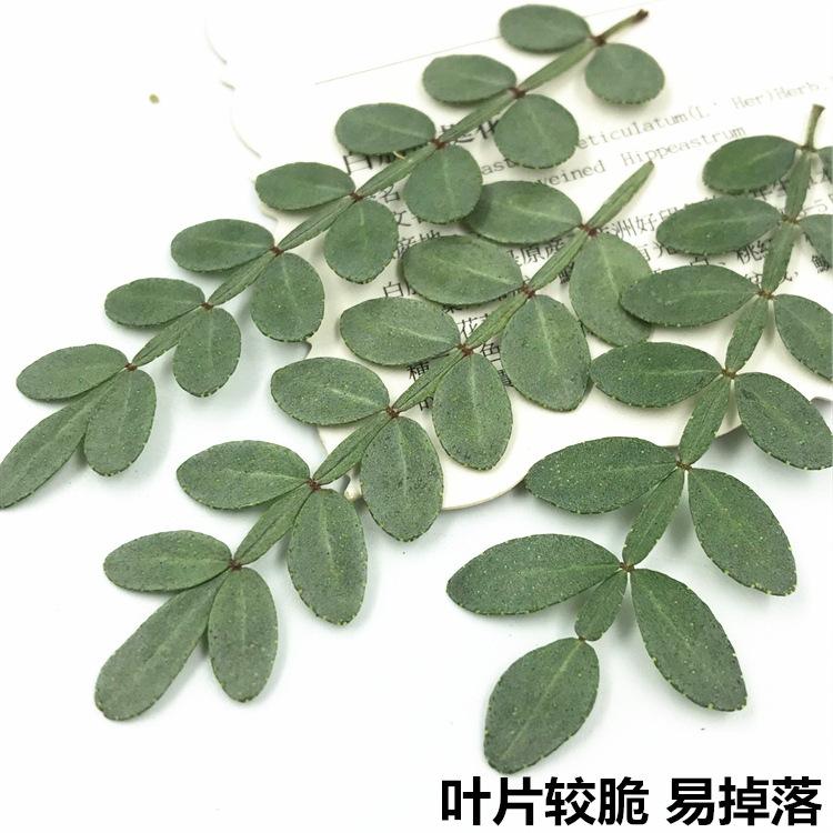 QQ图片20181210201217