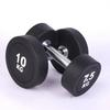 Mancuernas Redondas para Hombres y Mujeres, Ejercicio Físico, Entrenamiento de Fuerza de Hierro Puro, Gimnasio Comercial, Juego para el Hogar Recubierto de Goma