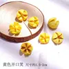 Pacote de Material de Flores Secas Espécime Jardim de Infância Casca de Fruta Caseira Flor Seca Bolota Porta-Retrato Espécime Pinha Porta-Retrato DIY Feito à Mão