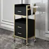 Gabinete de Barbería, Mesa de Herramientas para Salón de Peluquería, Gabinete de Herramientas para Permanente y Tinte de Salón de Peluquería, Gabinete para Cortar el Cabello, Carrito para Salón de Belleza, Equipo Estándar, Otros