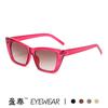 Moda Europea y Americana Nuevos Lentes de Sol Ojo de Gato, Fotografía Callejera Personalizada, Pasarela, Lentes de Sol de Celebridad de Internet, Lentes de Sol de Moda Transfronterizos