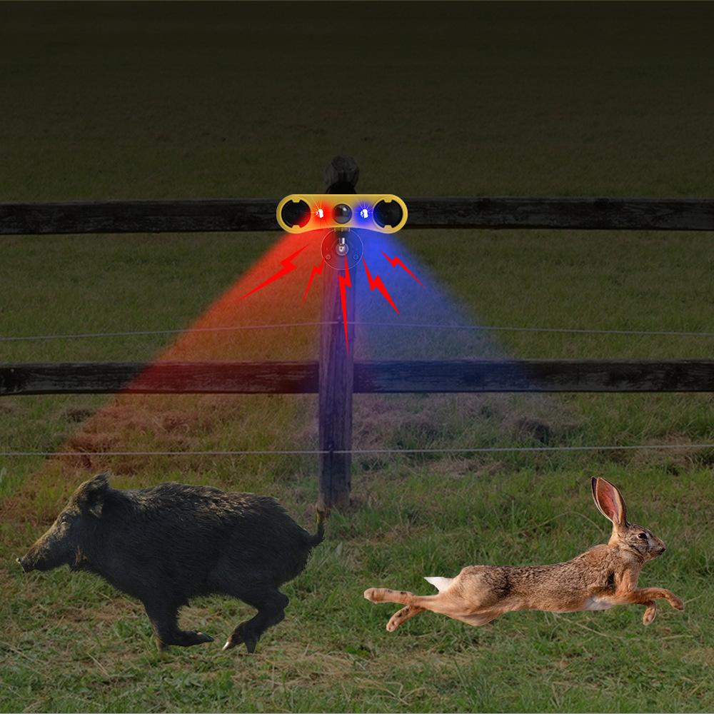 911W-外贸详情_10