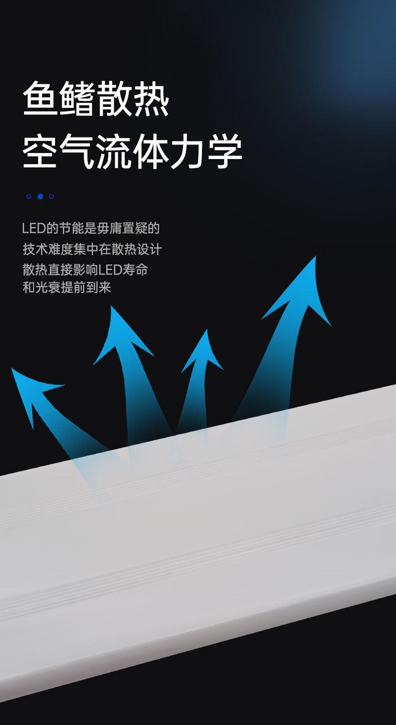 LEDdeng_04.jpg