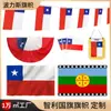 Bandera Rusa de la Copa Mundial 2026 Transfronteriza 90*150cm Poliéster Bandera de Abanico Bandera de Cadena Bandera para Agitar a Mano Personalización