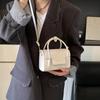 Bolsa de Mão de Nicho de Moda Transfronteiriça Feminina 2025 Nova Versátil Simples Cor Sólida Ombro Único Transversal Deslocamento Comércio Exterior