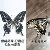 Atacado Transfronteiriço Espécime de Borboleta Real Borboleta Original Borboleta Fênix Cítrica Borboleta Cinza Elegante Espécime de Inseto Besouro Popular para Crianças Ciência Popular Feito à Mão