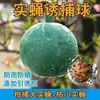 Trampa de Bola para Mosca de Cítricos de Huerto Mosca de la Fruta Abeja Grande Pequeña Mosca de Comida Bola Pegajosa para Insectos Bola para Moscas Bola para Insectos Voladores Trampa para Mosca de la Fruta