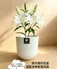 Maceta Gruesa Blanca Pura Estilo Nórdico con Boca Redonda y Rayas Verticales, Maceta de Plástico para Uso Doméstico, Adecuada para Cultivar Ave del Paraíso en Sala de Estar o Balcón