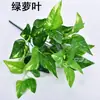 Simulação de plantas Uma variedade de folhas de filme com sensação de mão pequenos cachos de flores decorativas plantas aquáticas de plástico folhas simulação de materiais para parede de plantas