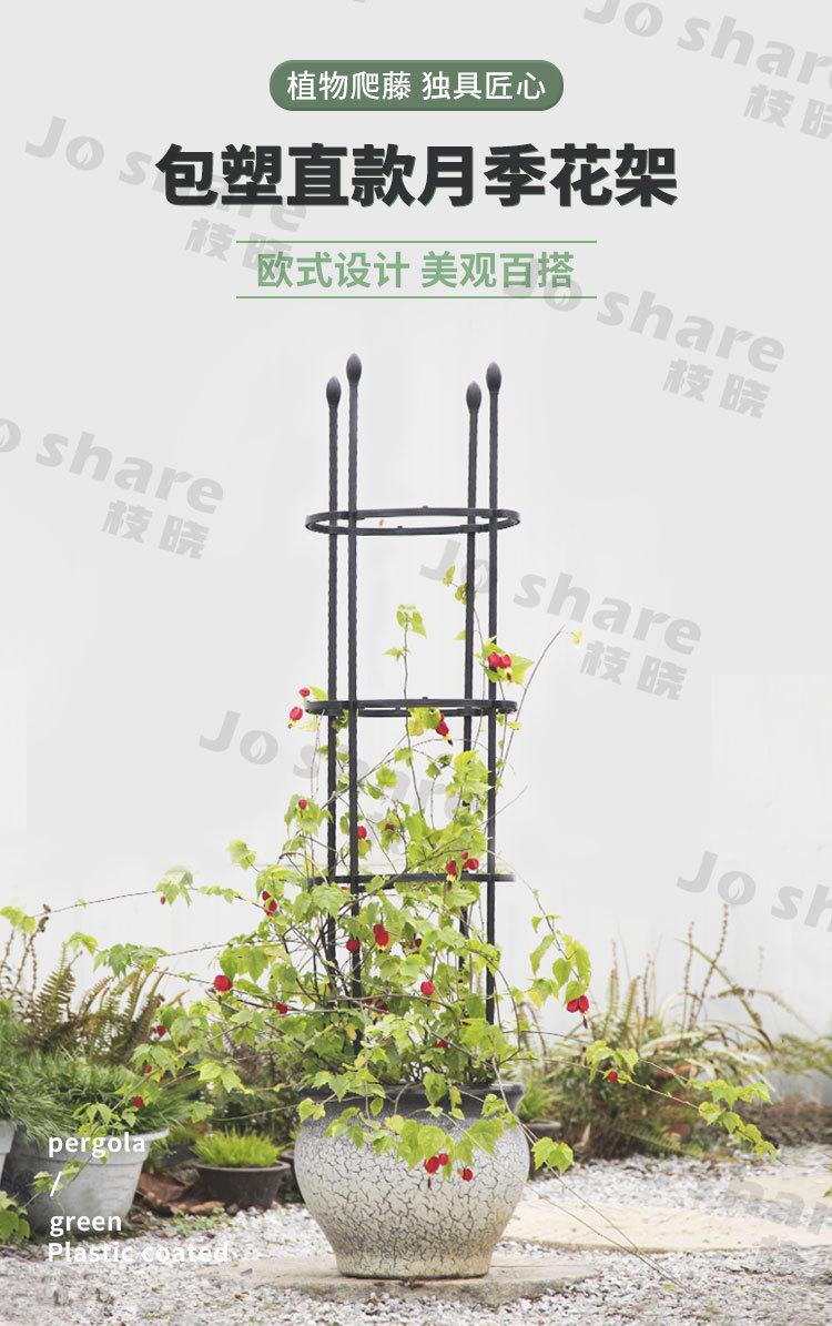 直款月季花架1688_01.jpg