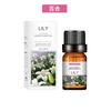 Aceite Esencial de Planta de Aromaterapia Soluble en Agua Perfumeoil Perfume Aceite Esencial de Aromaterapia Fragancia de Larga Duración Aceite Esencial de Aromaterapia Fresco