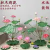 Flores de Loto Simuladas, Hojas de Loto Falsas para Estanques, Nenúfares para Paisajismo, Decoración para Acuarios, Accesorios para Espectáculos de Danza, Flores Artificiales de Alta Gama