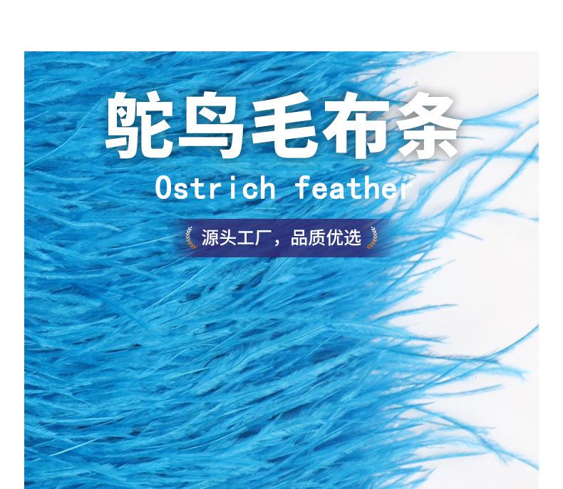 鸵鸟毛布条8-10_01