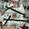Otoño e Invierno Dibujos Animados Bordado por Computadora Peluche Maomao Cachorro Pegatinas de Tela Accesorios para Ropa Bolsas Parche Diy