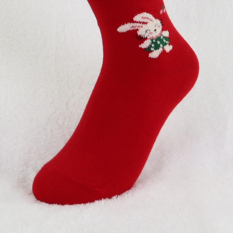 六指鼠661X-24 (16)