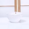 Maceta colgante para plantas colgantes, maceta de plástico de autorriego para interiores específicamente para cultivar potos