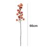 Fruta de la Fortuna de Frutos Rojos Flor de Nochevieja Fruto de Acebo Flor de Navidad Flor de Acacia de Baya Roja Decoración de Boda Adornos Florales