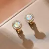 Europa e Estados Unidos transfronteiriços novo clipe de orelha de gema retrô brincos de temperamento de personalidade da moda feminina sem furos de orelha brincos altos atacado