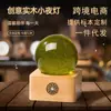 Artesanías de Bola de Cristal Hechas a Mano, Especímenes de Planta de Diente de León, Pequeños Regalos, Luces de Colores para Novias, Mejores Amigas, Decoración del Hogar