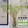 Plantas Hidropónicas, Ramas Frescas de Sauce Dragón, Flores Cortadas, Plantas Verdes Estilo Wabi-Sabi Cultivadas en Agua, Nandina, Sauce de Nieve, Ramas Secas, Plantas en Maceta Colgantes para Interiores