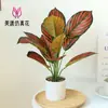 Flores Artificiais, Folhas de Plantas Artificiais, Bonsai Grande, Pequenos Enfeites Criativos para Interior, Plantas Verdes Artificiais, Plantas em Vasos, Amazon