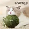 Brinquedo para gato espinha de peixe catnip durável mastigável moedor de dentes simulação de peixe catnip vara teaser para gato brinquedo de gato brinquedo para animal de estimação