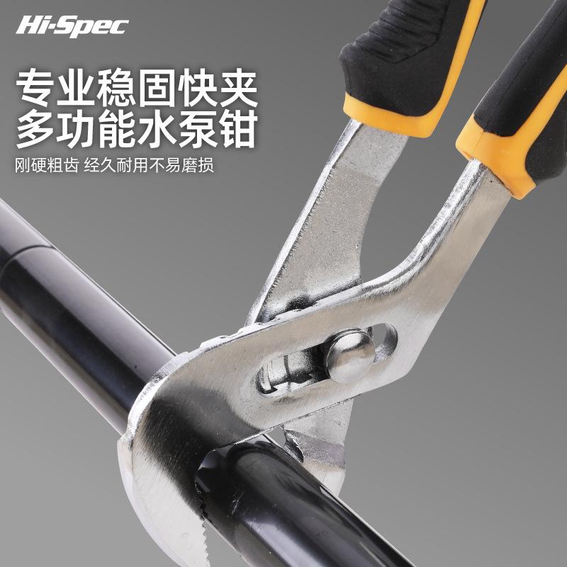 DT02031Y-03