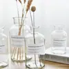 Simples Nórdico Quatro Estações garrafa sala de estar vaso de vidro pequeno fresco decorativo transparente rattan volátil garrafa de aromaterapia garrafa vazia