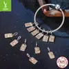 Yinziyun Original Plata de Ley S925 Colgante de Doce Constelaciones Accesorios de Joyería Estilo Europeo y Americano Versátil Cuentas para DIY