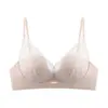 Nuevo sujetador sexy de encaje bordado, diseñado para realzar el busto y crear un aspecto más lleno, adecuado para transmisiones en vivo y dropshipping, un artículo de lencería de moda para mujeres jóvenes, y destinado a la exportación y ventas transfronterizas