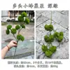 Cruzamento de Fronteira Novo Produto Colmeia Artificial Fruta Multi-Cabeça Pequena Fruta Colmeia Corredor de Casamento Portátil Casa Decoração Macia Flores Artificiais Atacado