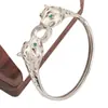 Nueva Moda Leopardo Ojo Verde Hueco Microincrustado Circonita Simple Accesorios para Hombre Pulsera Popular de Internet Suministro
