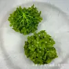 Cabeças de Flores de Hortênsia para Decoração de Cenário, Flores Artificiais, Cabeças de Flores de Seda, Decorações de Parede de Flores, Flores Artificiais, Florais Transfronteiriços