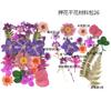 Bolsa de Flores Secas para Manualidades con Flores en Relieve, Marcapáginas de Flores en Relieve, Bolsa de Flores en Relieve, Material para Pintura en Relieve, Pegamento para Flores Reales, Hojas Secas