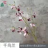 Orquídea de Mil Pájaros 3 Ramas Orquídea Paloma Decoración Floral de Boda Fiesta Compromiso Banquete Arreglo Salón de Banquetes Techo Alto Flores Artificiales