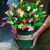 Nuevas Plantas en Maceta de Plántulas de Orquídea Garra de Cangrejo de Flor Doble con Capullos de Flor, Flores Multicolor, Plantas Pequeñas de Hoja para Interior y Balcón que Florecen Todo el Año