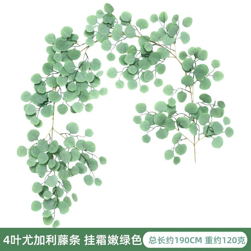 IMG_9123_副本.jpg