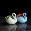 Maceta de cerámica blanca simple de estilo europeo, planta carnosa hidropónica, maceta de cisne pequeño, juego de flores de escritorio, color azul cielo