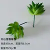 Plantación de Bonsái de Suculentas Simuladas Cuidadosamente Seleccionadas Mini Accesorios de Suculentas Falsas Terciopelo Plantas Verdes Decoración del Hogar DIY Adornos