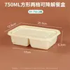 Caja de Almuerzo Biodegradable Desechable Tres Compartimentos Dos Compartimentos Rectangular para el Hogar Picnic Camping Estilo Caja de Embalaje para Frutas Caja de Almuerzo con Compartimentos