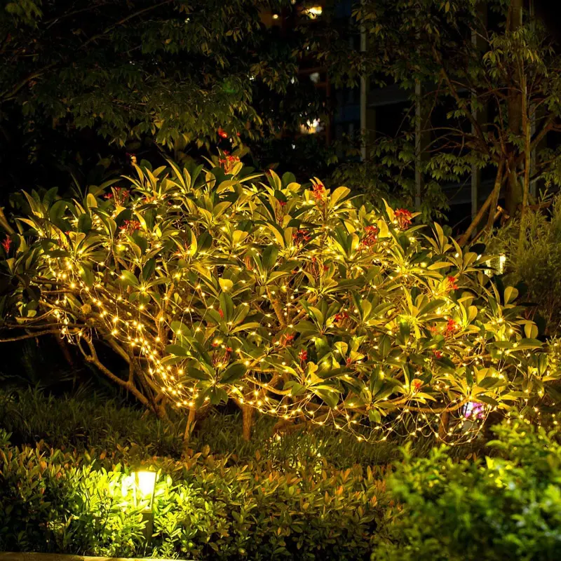 4_meitu_1.jpg