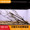 Árbol para paisajismo de acuario sudamericano, ramas secas, ramas de peral amarillo, decoración de sustrato, pecera pequeña, ramas naturales, decoración de paisajismo y paisajismo.