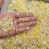 Paquete de Materiales para Manicura Camelia de Resina Uñas Portátiles Hechas a Mano Regalo de Cumpleaños Funda para Teléfono Móvil Casero Transmisión en Vivo Corazón Mixto