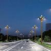 Los fabricantes suministran lámpara magnolia grande ocho brazos nueve luces lámpara de paisaje iluminación exterior combinación de pétalos solares farola