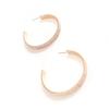 Accesorios Europeos y Americanos Transfronterizos Aretes Exagerados de Doble Fila con Diamantes Completos Aretes Brillantes para Discoteca que Combinan con Todo Aretes Aretes para Mujer