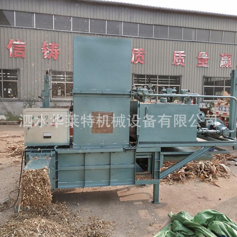 z29309D539E42A5995C9B971F2CFEB