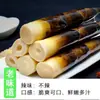 Brotos de Bambu Frescos Descascados à Mão com Pimentas em Conserva, Crocantes e Picantes, Pontas de Brotos de Bambu Macias com Sabor Rico, Perfeitos para Satisfazer Desejos, um Lanche para Quartos de Estudantes, Pronto para Comer ao Abrir a Embalagem